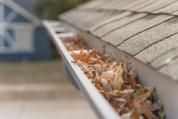 Leaf Barrier Installation in Locust Grove